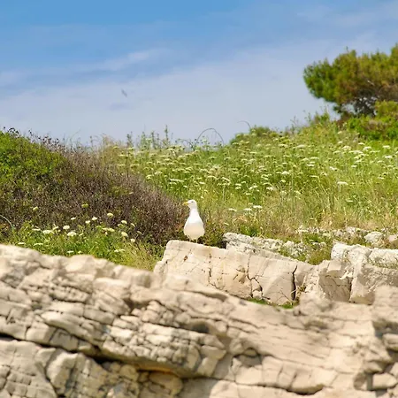 Lejlighed Thodoroulis *