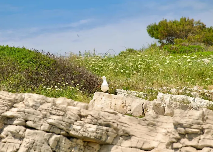 Apartment Thodoroulis *